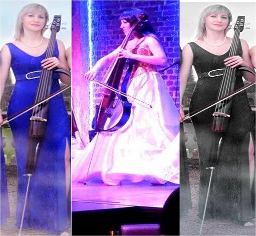 cello artists rajkot