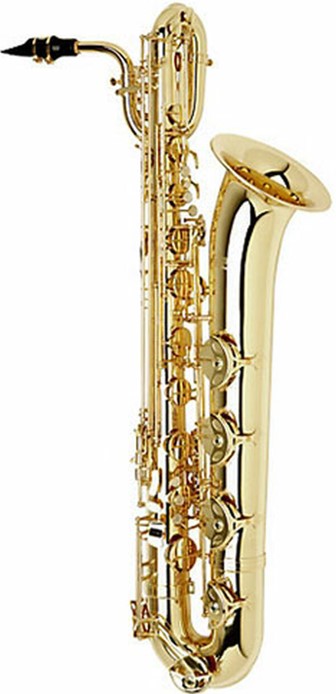 good saxophone on rent rajkot