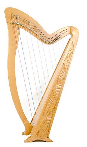 best harp on rent rajkot