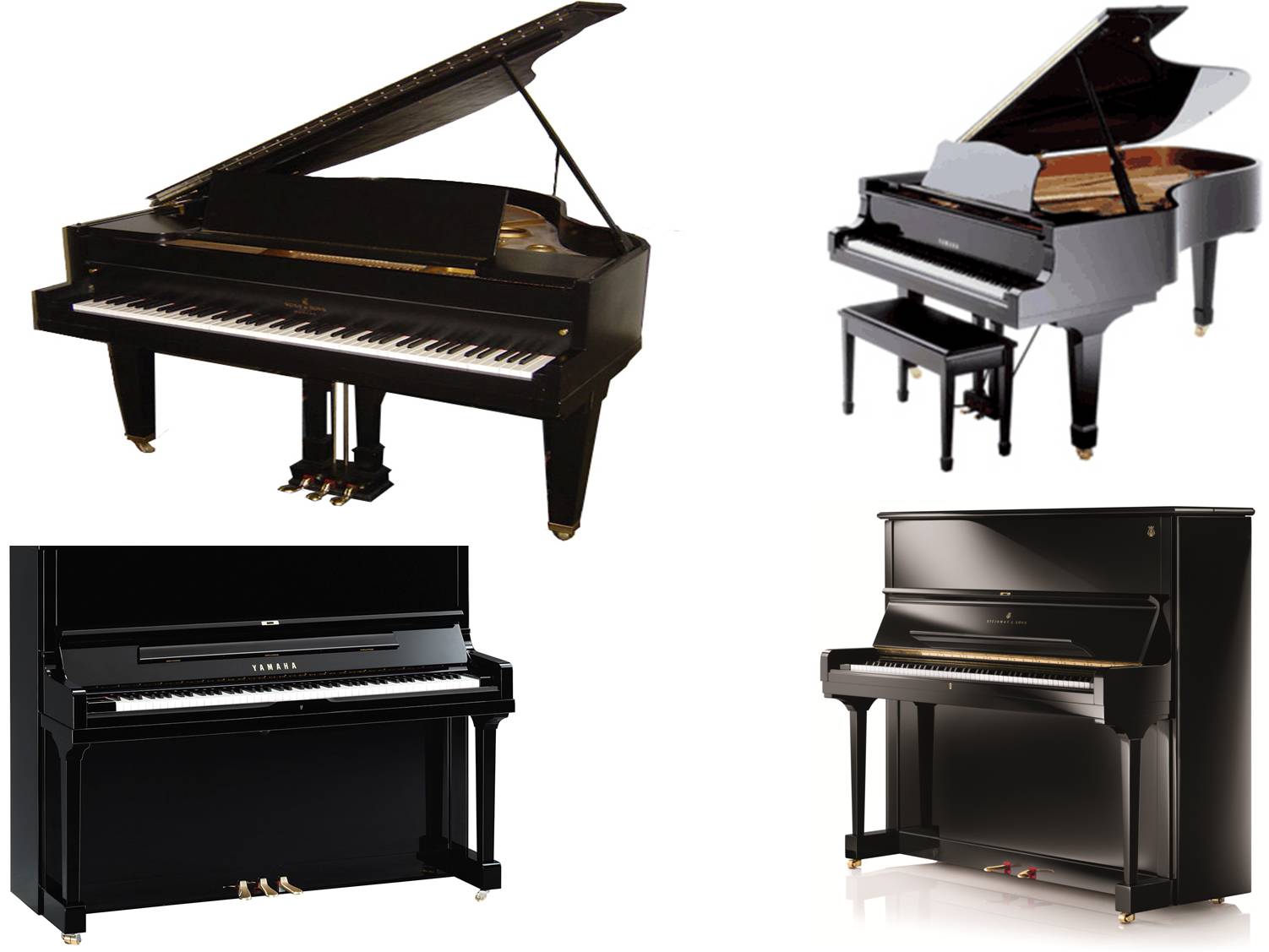 Grand Piano on rent in Rajkot